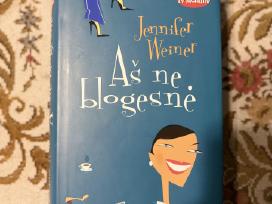 Jennifer Weiner - Aš ne blogesnė