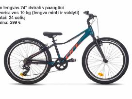 Daug naujų dviračių paaugliams 24 ratais