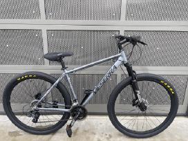 Meserra 29" MTB dviratis L dydis – Akcija!