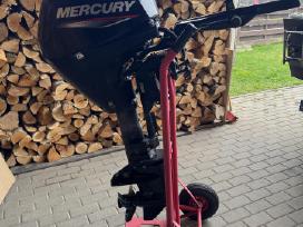 Mercury 10 L ( 20)