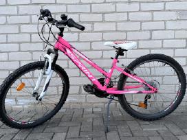 Dviratis Sprint Calypso 24" rožinis