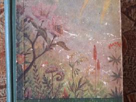 Bitininkystė. J. Kriščiūnas 1961m.