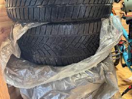 Žieminės padangos Goodyear Ultragrip 255/35/r21
