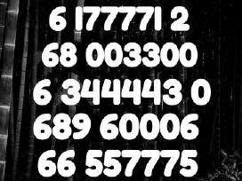 Lengvas VIP numeris 60006 už 90€