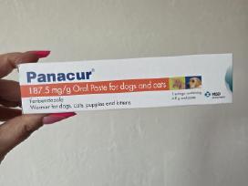 Panacur pasta šunims ir katėms