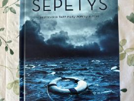 Ruta Sepetys - Druska jūrai