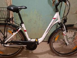 Pegasus Avanti