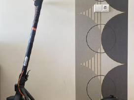 Elektrinis paspirtukas Segway Ninebot F40e