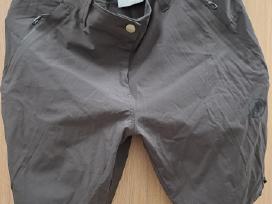 Mammut sortai 42 d.