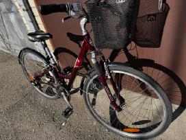 Moteriškas miesto Dviratis Schwinn