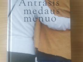 Joanna Trollope "Antrasis medaus mėnuo"