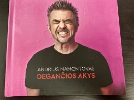 Foje ir Andrius Mamontovas CD