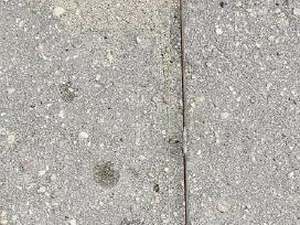 Spiningas