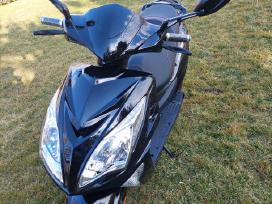 Elektrinis motoroleris Super Hawk 2000w 20ah