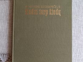 R. Dichavičius Žiedai tarp žiedų