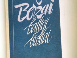 P. Širvys. Beržai baltieji broliai