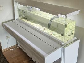 Unikalus akvariumas