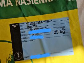 Sertifikuotos sėklos raudonieji dobilai