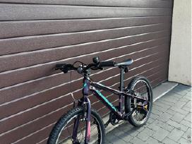 Orbea mx20