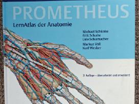 Prometheus žmogaus anatomijos atlasas