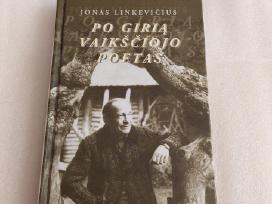 Po girią vaikščiojo poetas