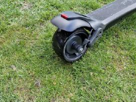 Mercane Widewheel