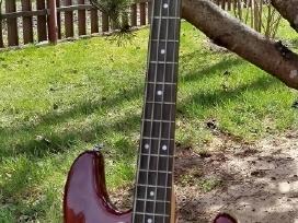 Bosine gitara
