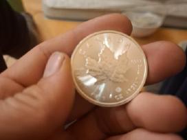 Perku Sidabrines Monetas