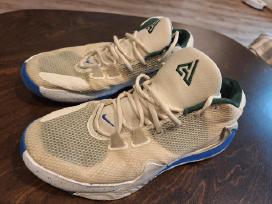 Krepšinio kedai Nike Zoom Freak 1