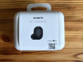 Ausinės Sony Wf-1000xm6