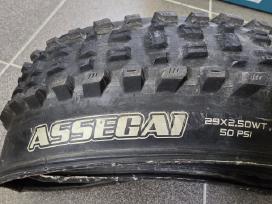 Maxxis Assegai 29x2.50wt Maxxterra Exo
