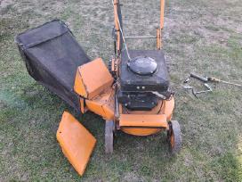 Zoliapjove As Motor