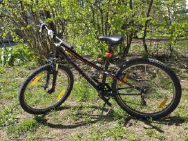 Dviratis Specialized
