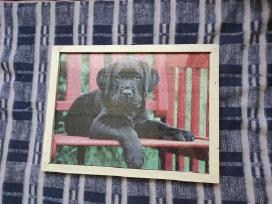 Paveikslas puzzle