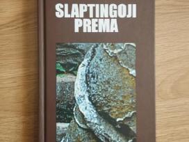 E. Kurklietytė ir V. Bubnys - Slaptingoji Prema