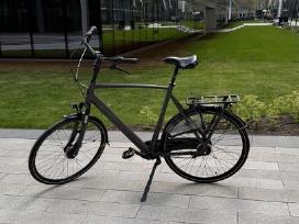 Gazelle Orange C7 XXL aukštam vyrui