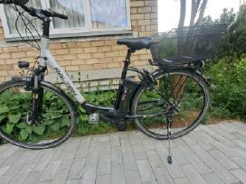 Elektrinis moteriškas dviratis
