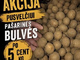 Bulvės pašarinės