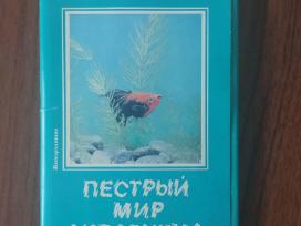 Atvirukų rinkinys - Akvariumo pasaulis ( žuvys )