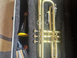 Trimitas King 601