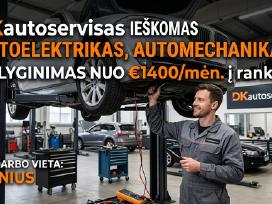 Automechanikas, Autoelektrikas