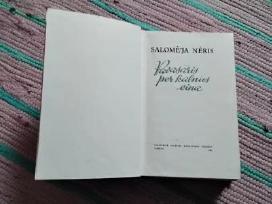 Pavasaris per kalnus eina Salomėja Nėris