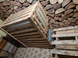 Thermex Boileris