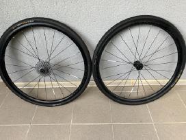 Bontrager Affinity Tlr plento / gravel ratai