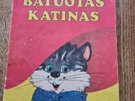 Batuotas katinas