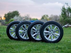 Borbet lieti ratlankiai R17