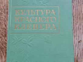 Raudonųjų dobilų auginimas (rusų k.)