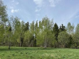 Parduodamas namų valdos žemės sklypas