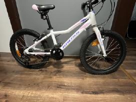 Kross Lea Mini 3.0vaikiškas 20" ratų, 6 pavarų dv