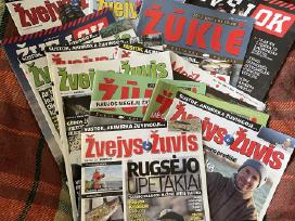 Žvejys ir žuvis